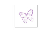 butterfly-blank-card